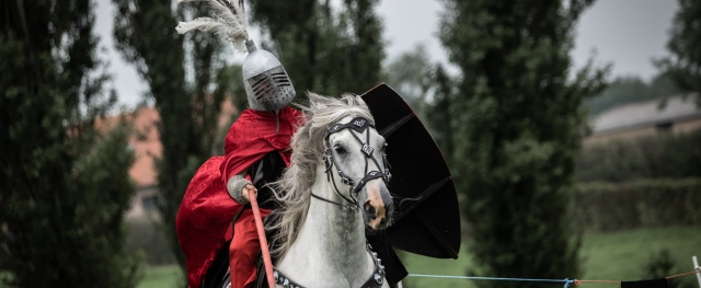 Ridder strijdt voor jouw machtige naming and branding